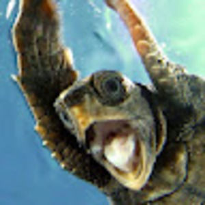 Meet your Posher, Bryanna